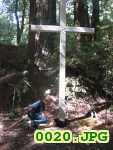 Picture 0020