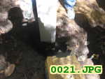 Picture 0021