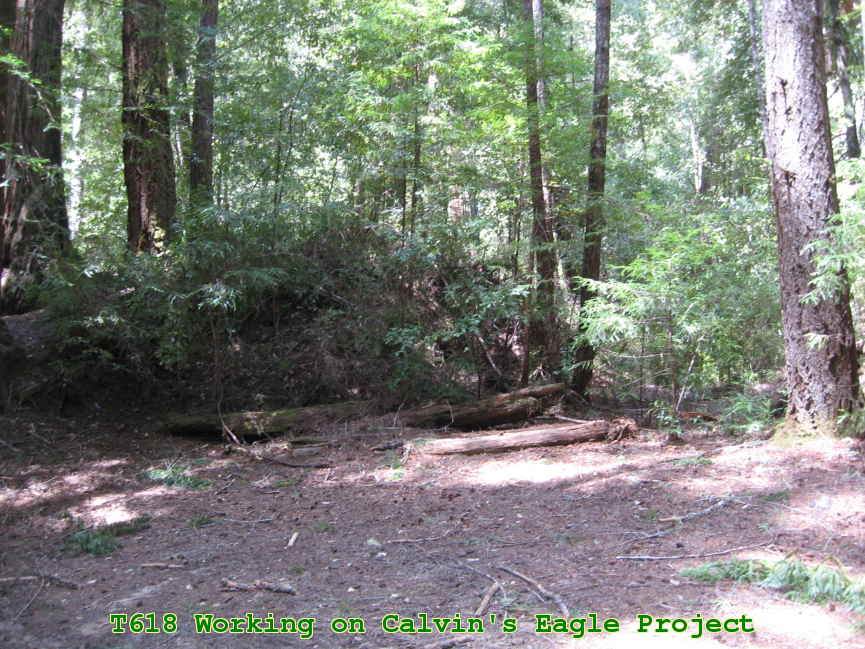 Picture 0001