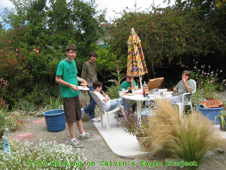 Picture 0005