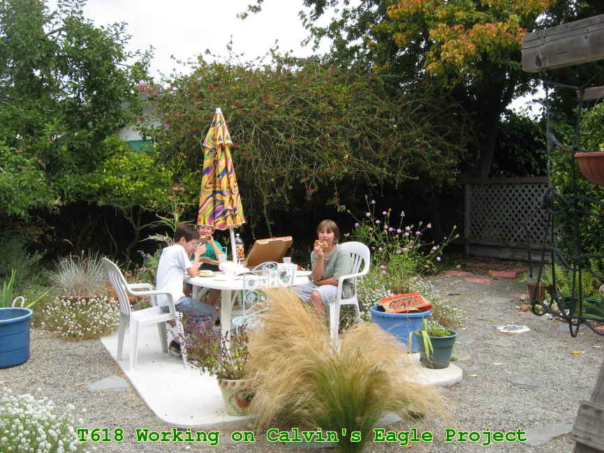 Picture 0008