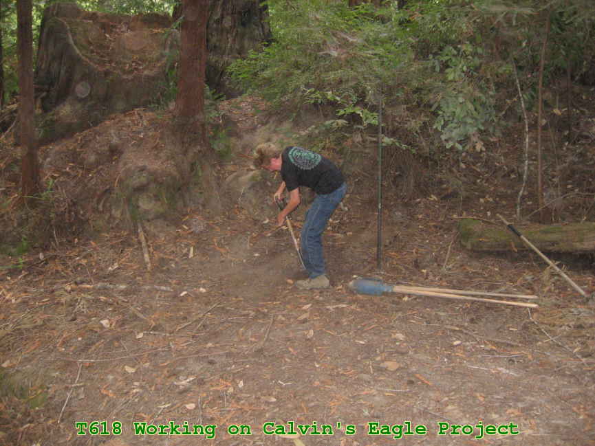 Picture 0012