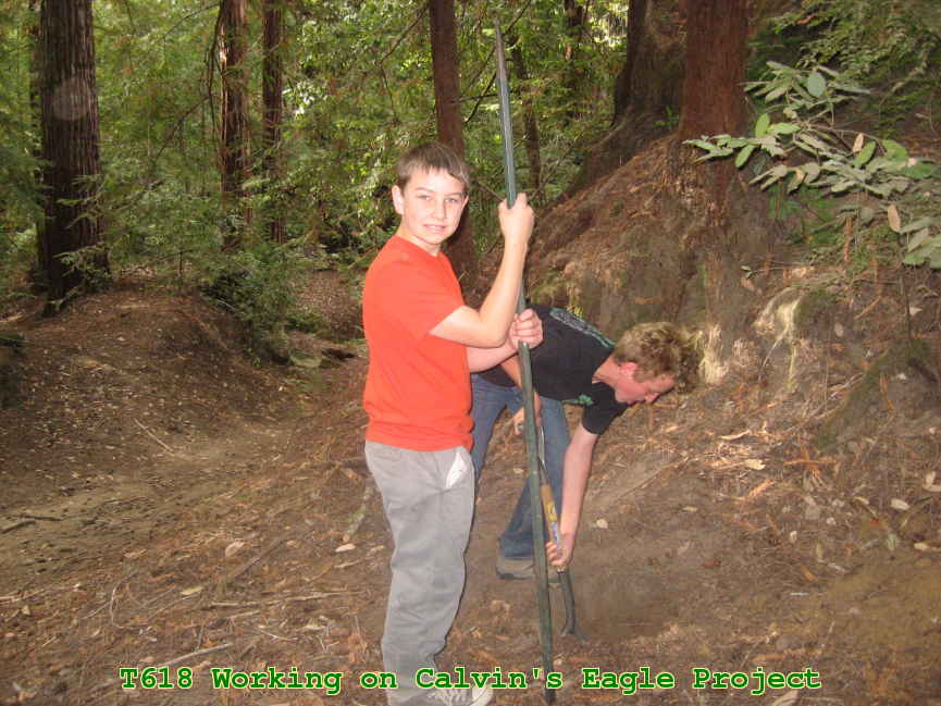 Picture 0013