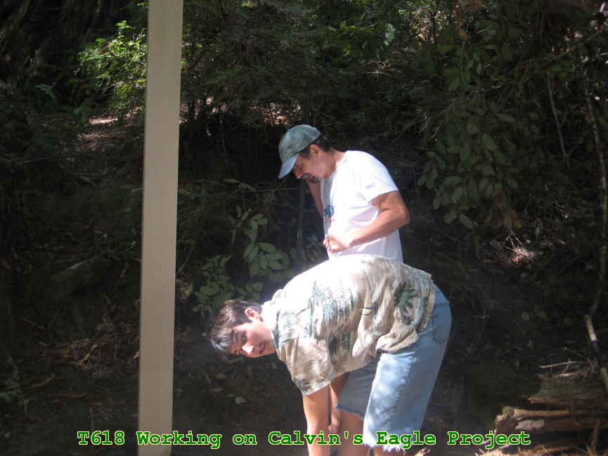 Picture 0027