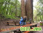 Picture 0011
