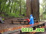Picture 0012