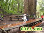 Picture 0013