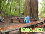 Picture 0014