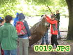Picture 0019