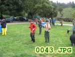 Picture 0043