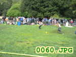Picture 0060