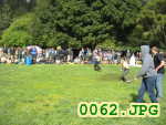 Picture 0062