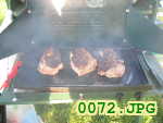 Picture 0072