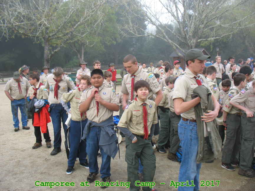 Picture 0008