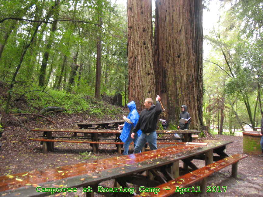 Picture 0011