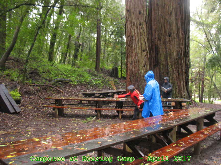Picture 0012