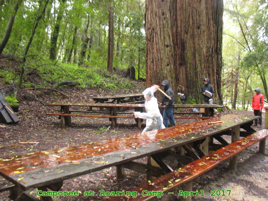 Picture 0013