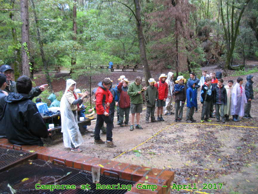 Picture 0016