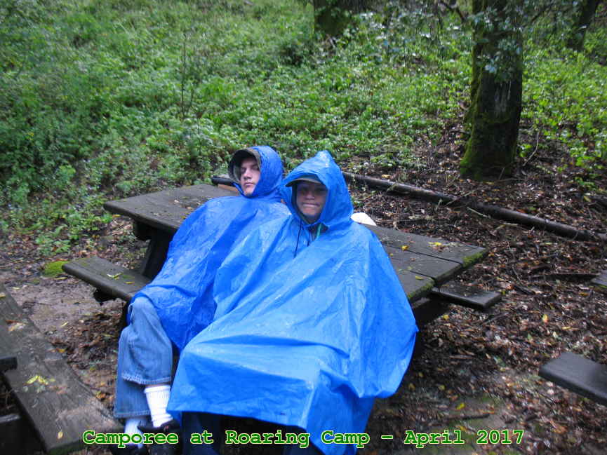 Picture 0017