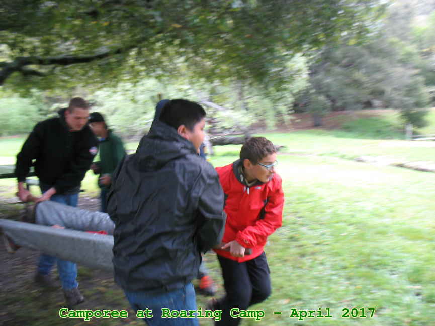 Picture 0021
