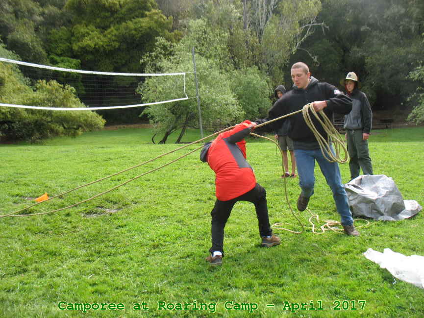 Picture 0038