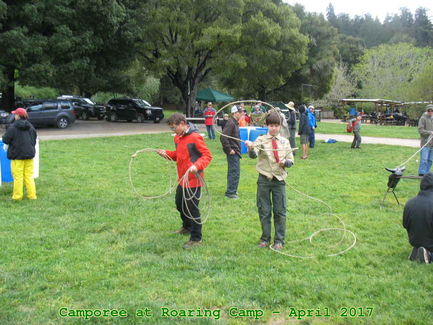 Picture 0043