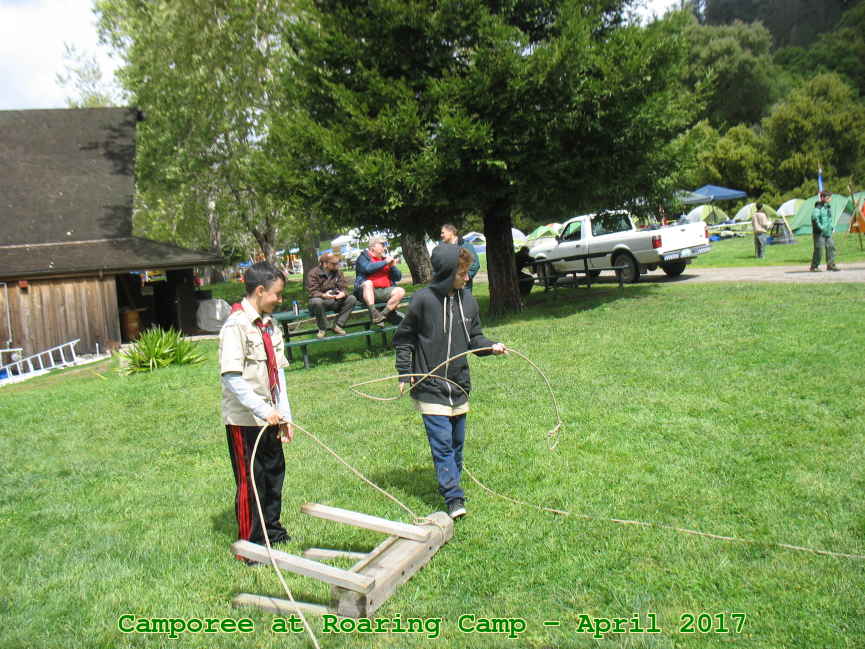Picture 0045