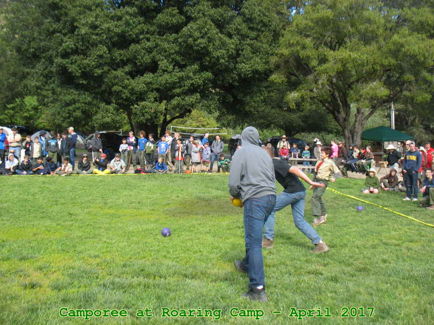 Picture 0061