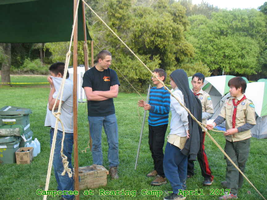 Picture 0068