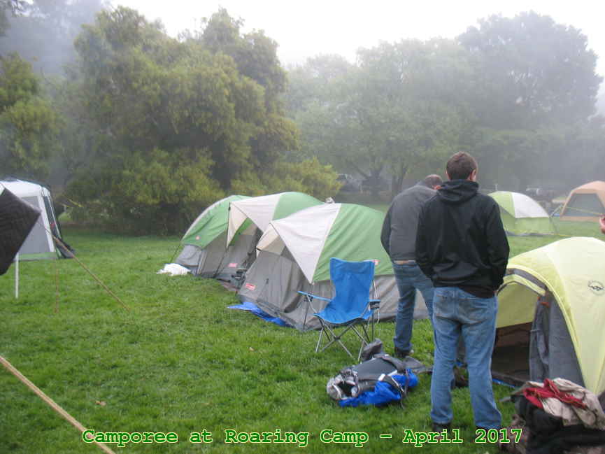 Picture 0077