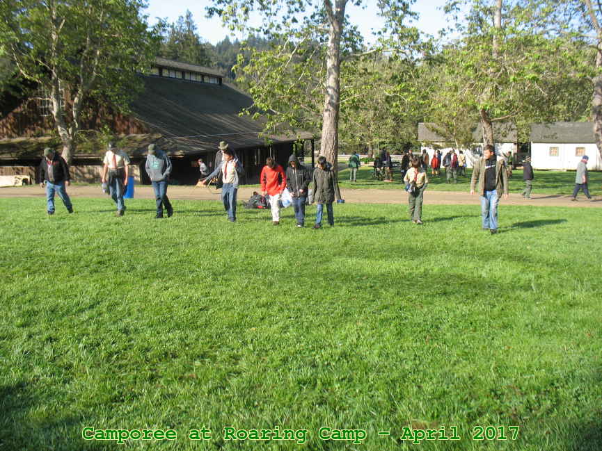 Picture 0080