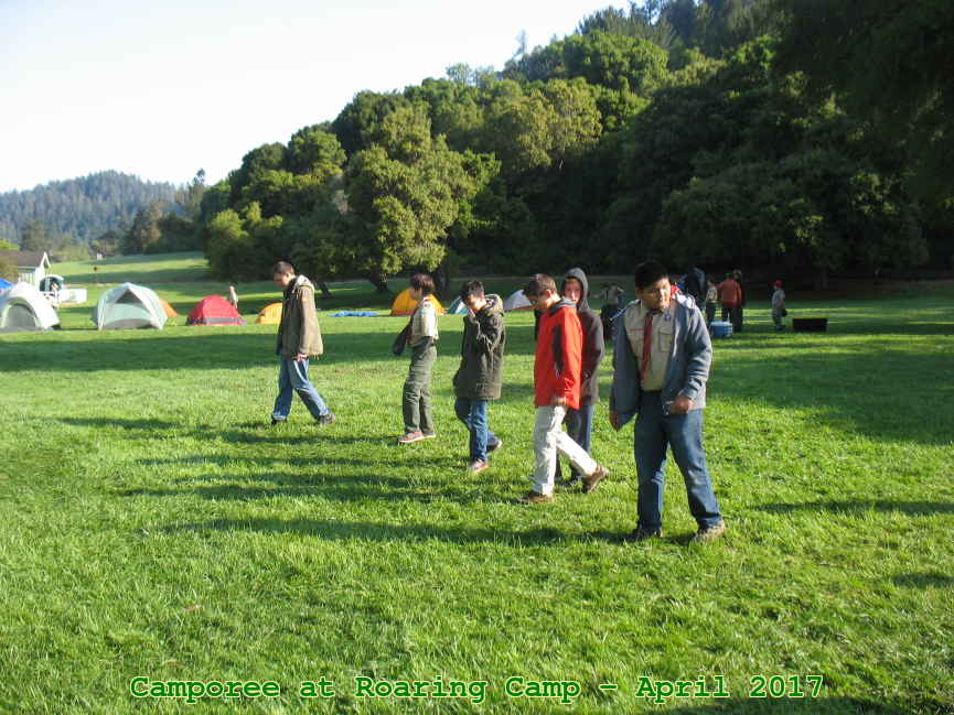 Picture 0081