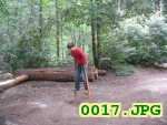 Picture 0017