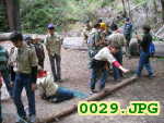 Picture 0029