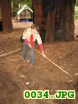 Picture 0034