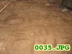 Picture 0035
