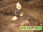 Picture 0036