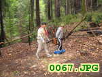 Picture 0067