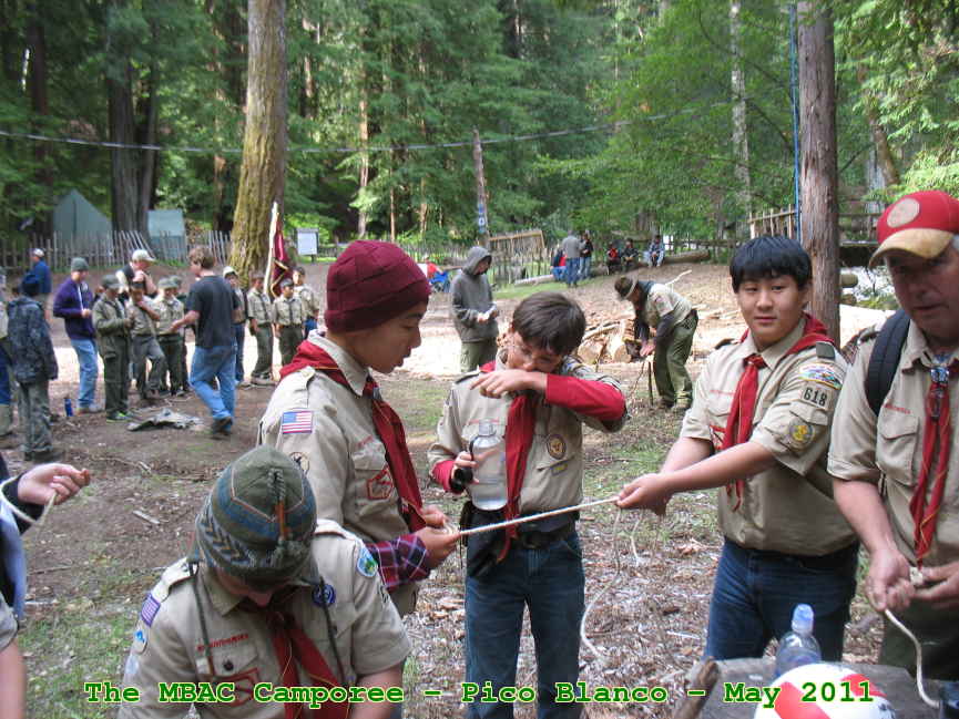 Picture 0012