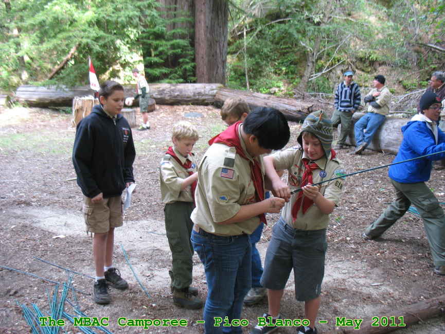 Picture 0014