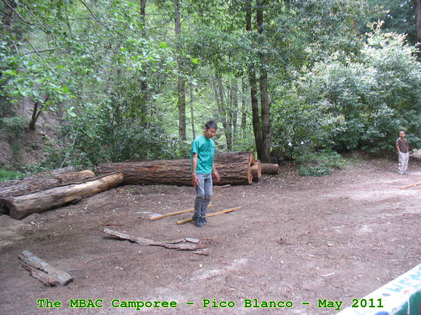 Picture 0015