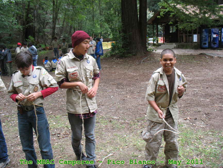Picture 0021