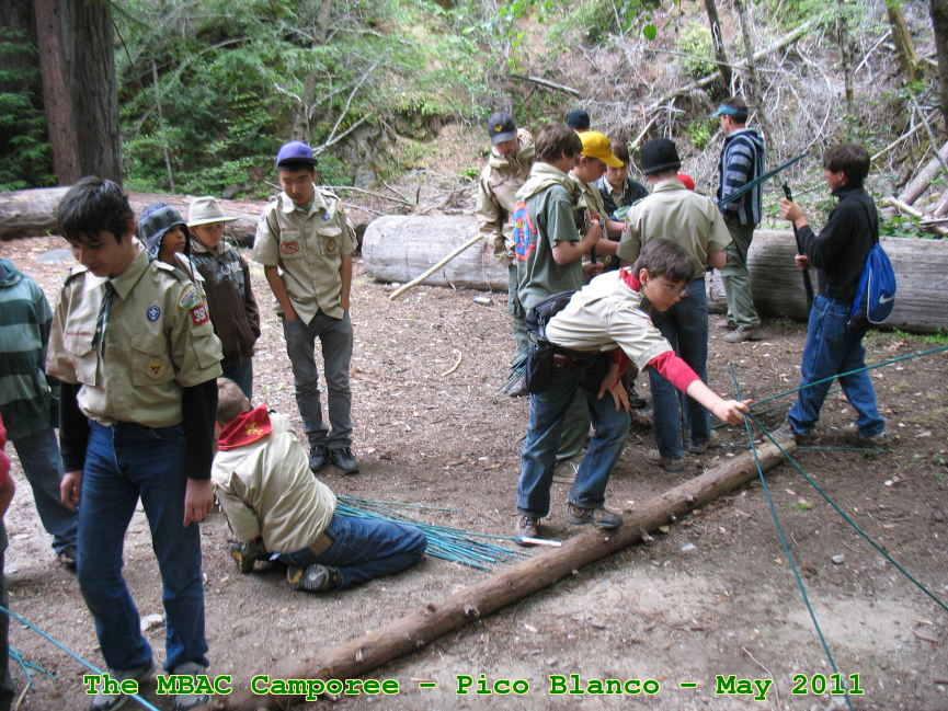 Picture 0029