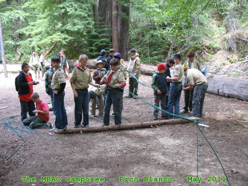 Picture 0031