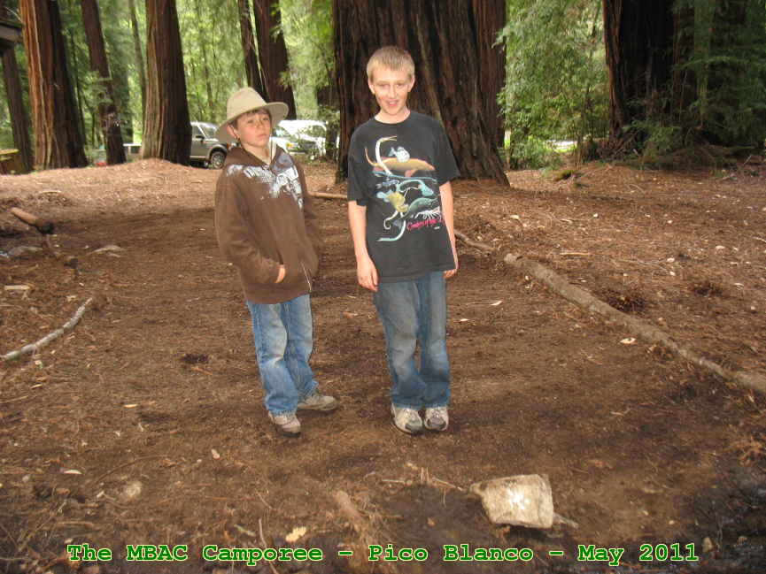 Picture 0033