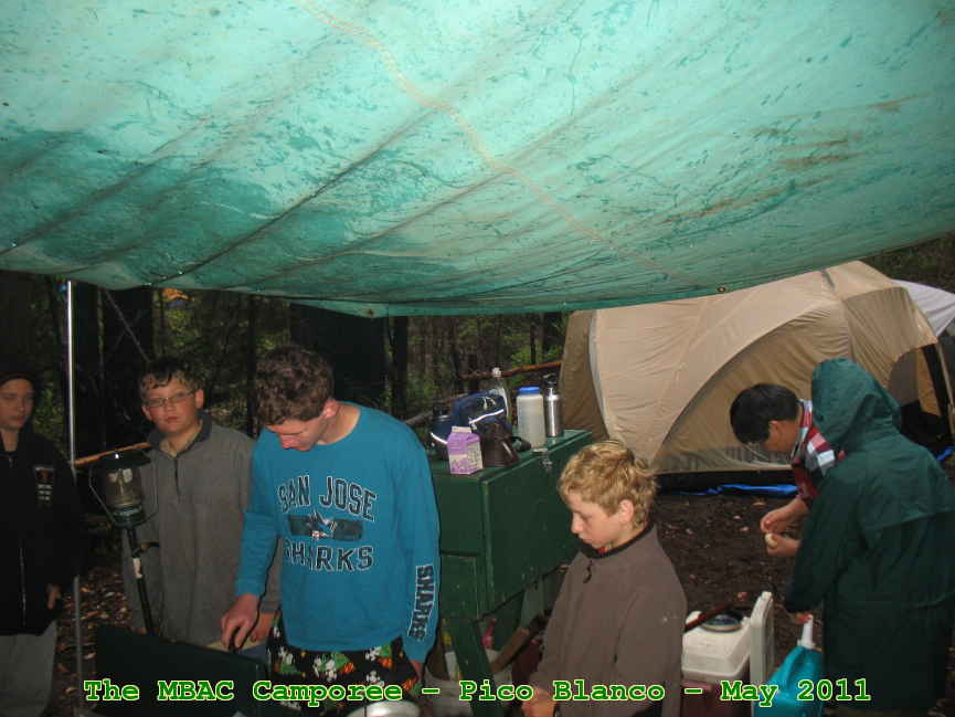 Picture 0059