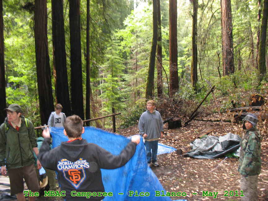 Picture 0062