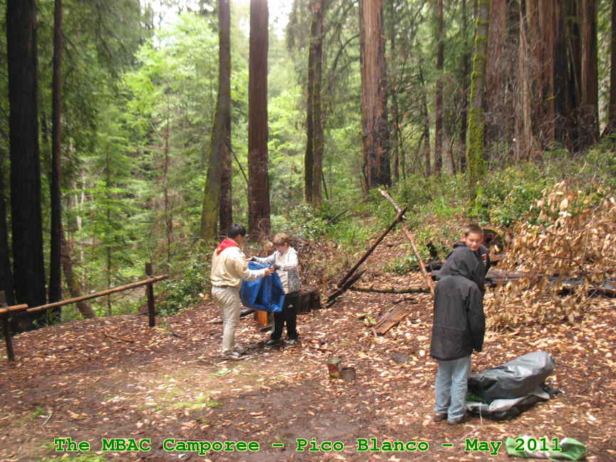 Picture 0066