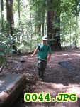 Picture 0044