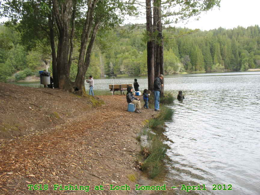Picture 0021